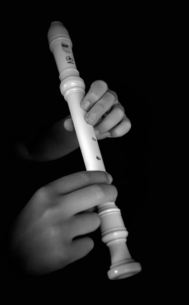 Enchanted Flute Melodies