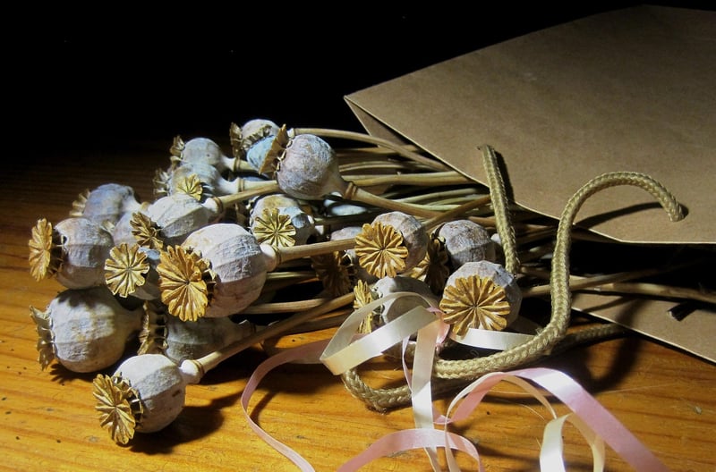 Enchanted Seed Packets