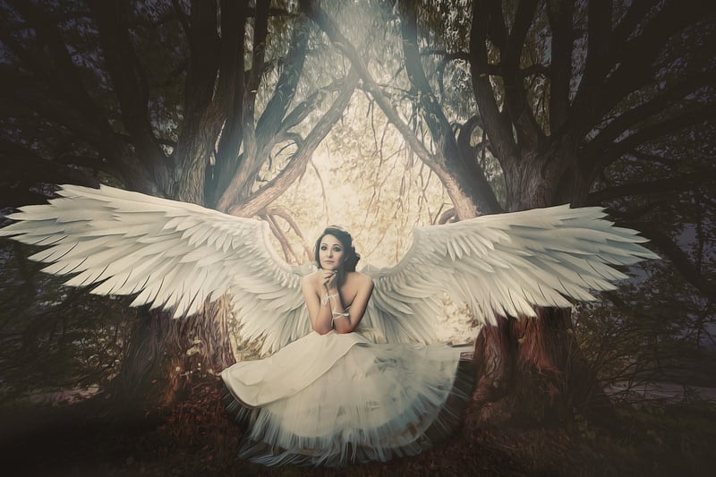 Fairy Wings and Capes